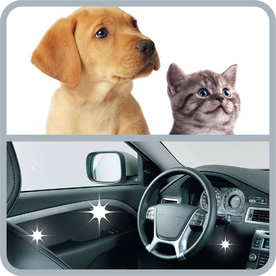 COMPACT POWER FULL CARE BLACK