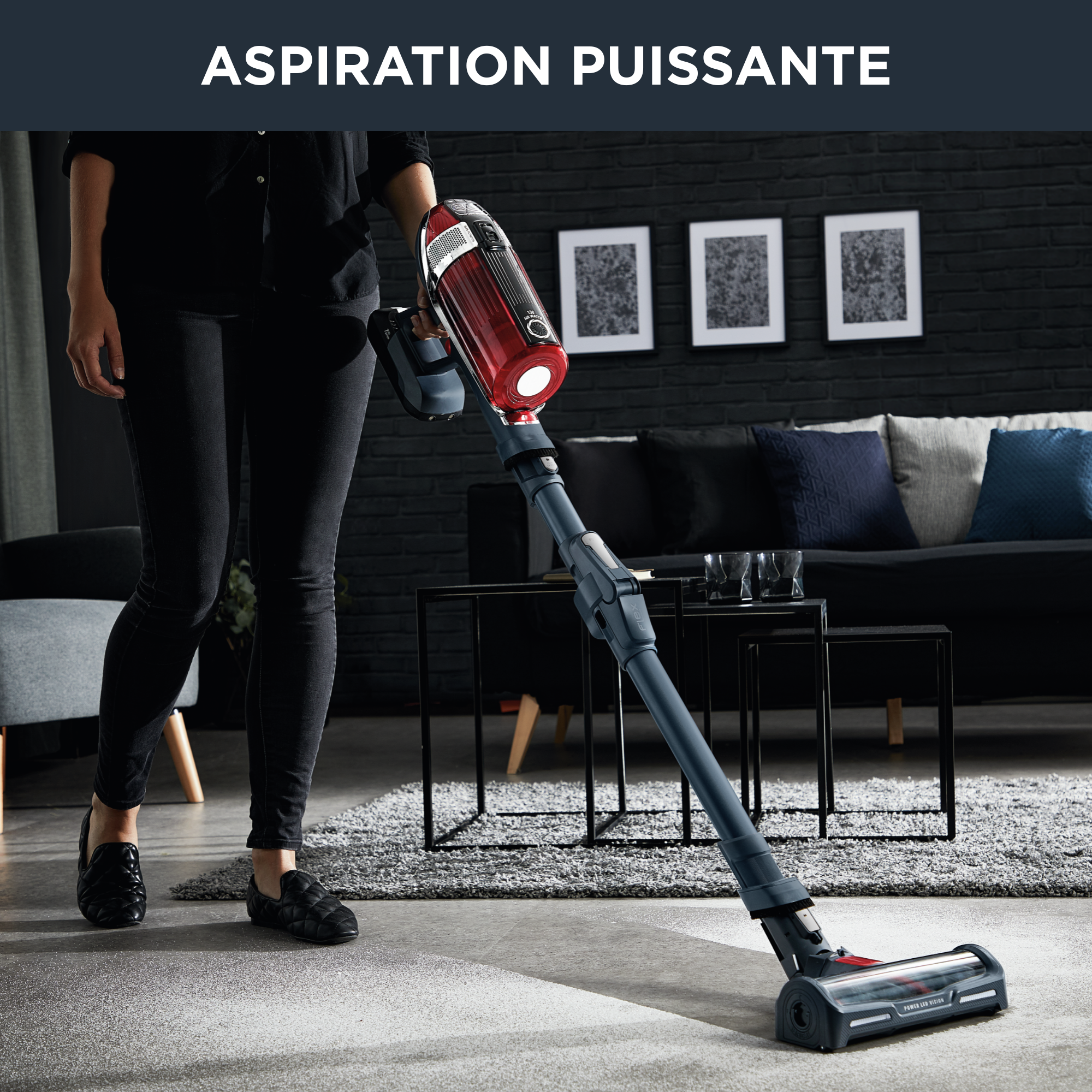 X-Force Flex Animal 11.60 RH9878 Aspirateur balai - 130 AirWatts - 45 min d'autonomie - 0,9L
