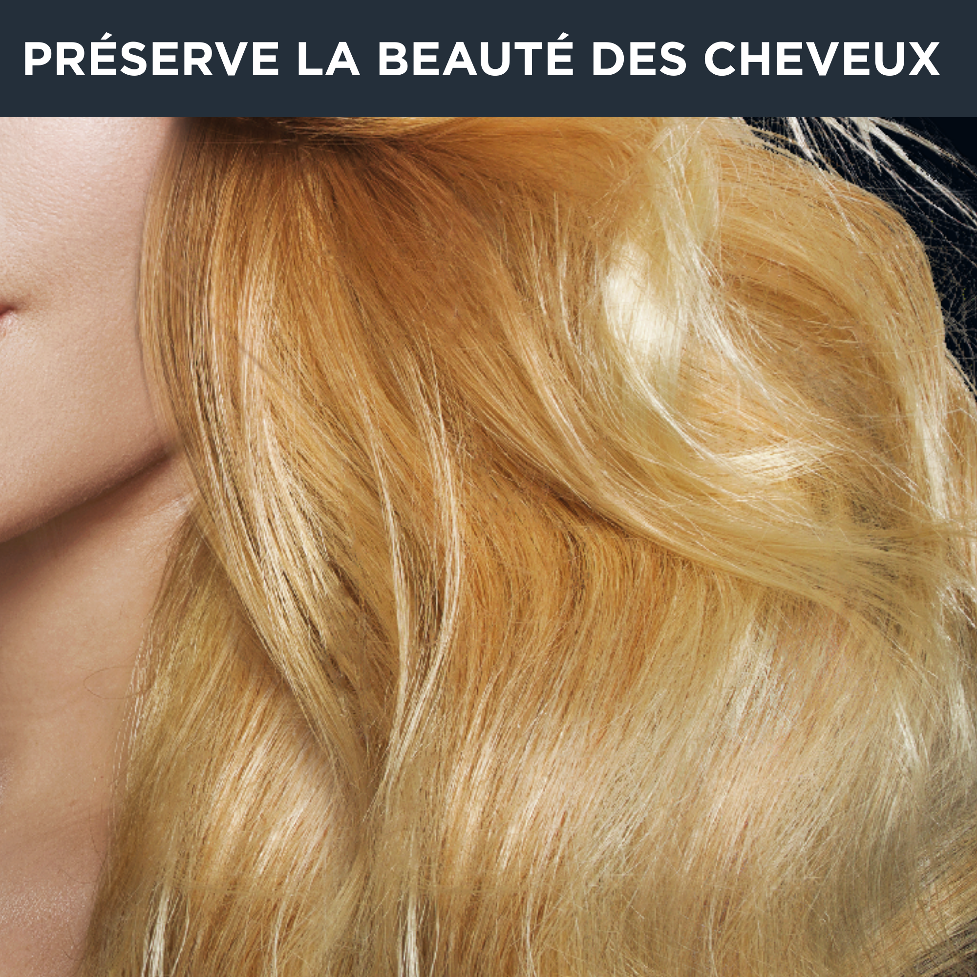 Premium Care CF9540 Brosse soufflante - 1.000W - 2 brosses