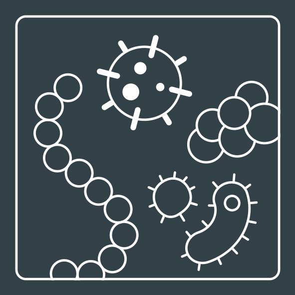 3-IN-1-FILTER: VOORFILTER, ACTIEVE KOOLSTOF EN HEPA ALLERGIE+ XD6270F0