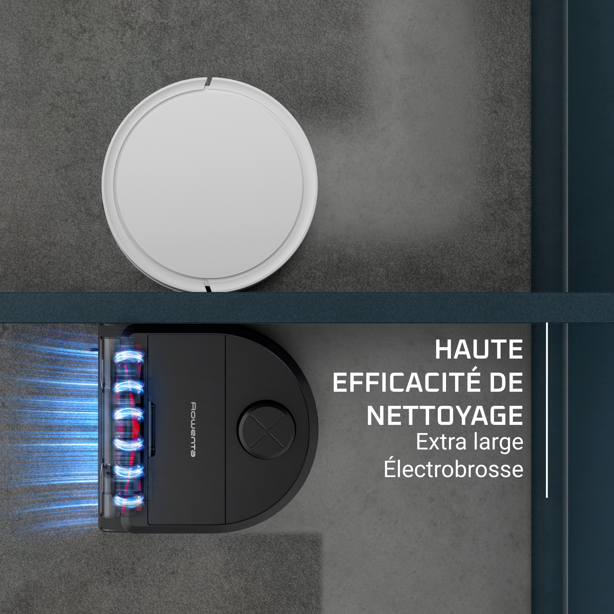 Aspirateur robot X-PLORER SERIE 240 AI, Modèle Animal & Allergy