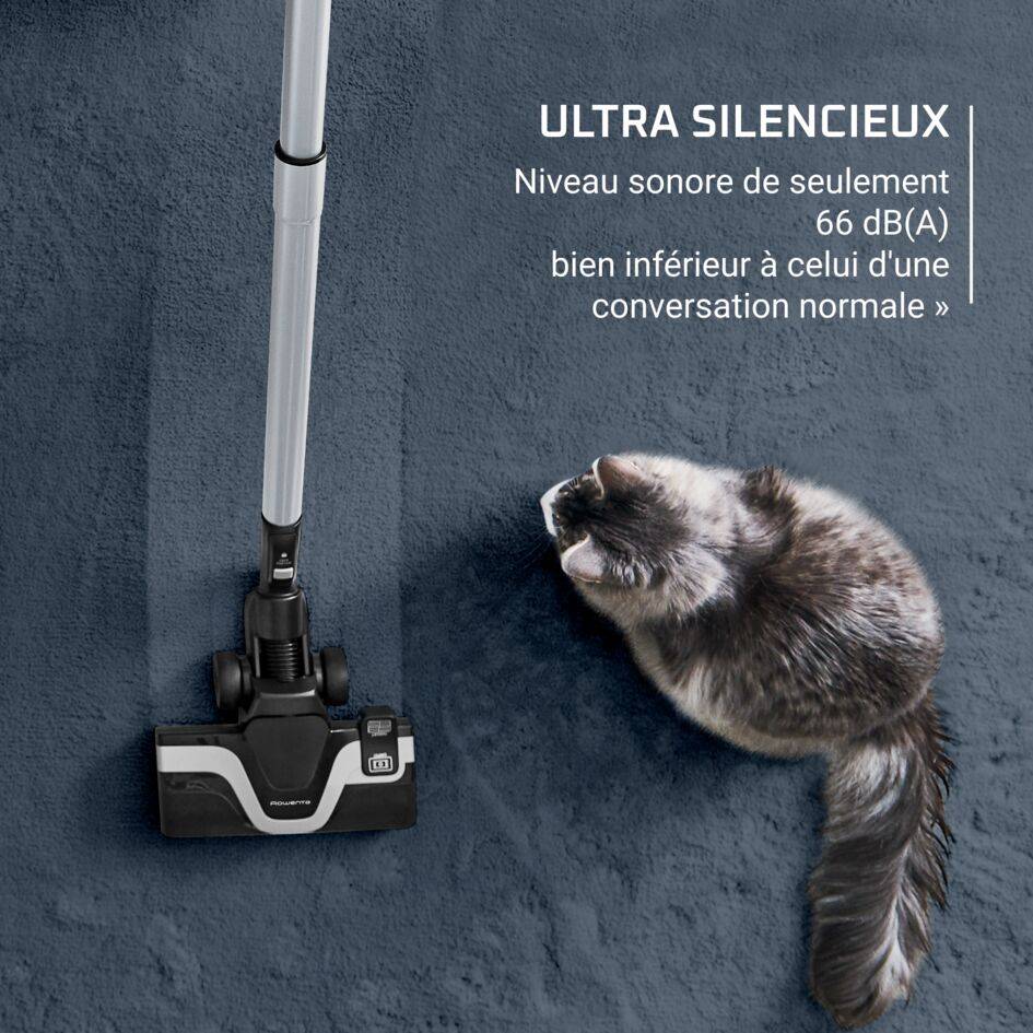 Green Force Cyclonic Effitech+, Aspirateur sans sac, 500W, Eco-conçu, 66 dB(A)