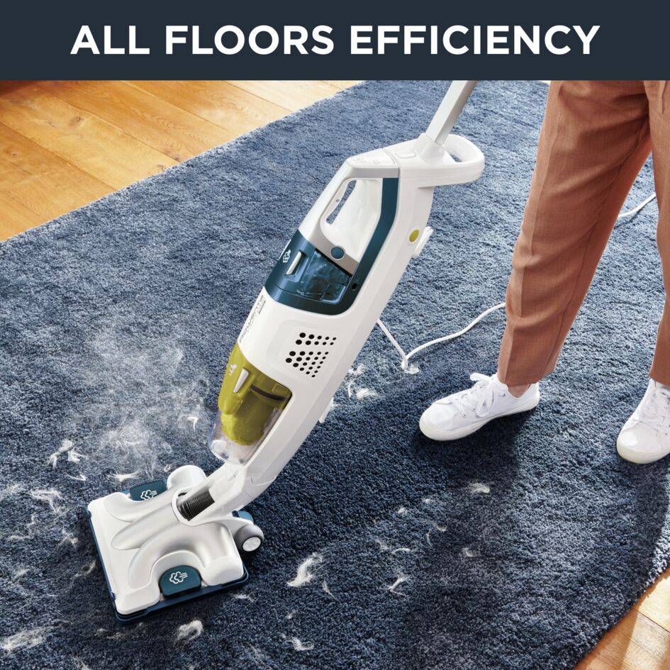 Clean & Steam Multi