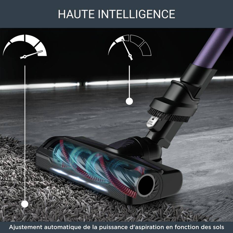 X-Force Flex 9.60 RH2039 Aspirateur balai