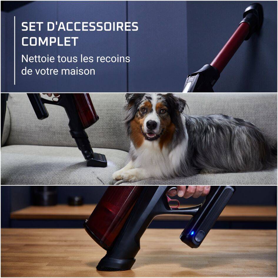 X-Force Flex 13.60, Aspirateur balai sans fil, 150 AW, 60 min, Animaux