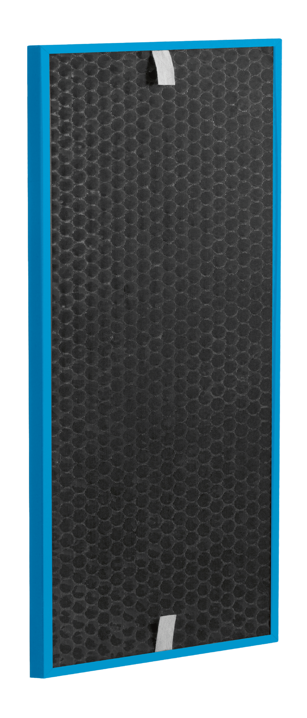 FILTRE CARBON CAPTUR BOOST XD7160E0 pour Intense Pure Air