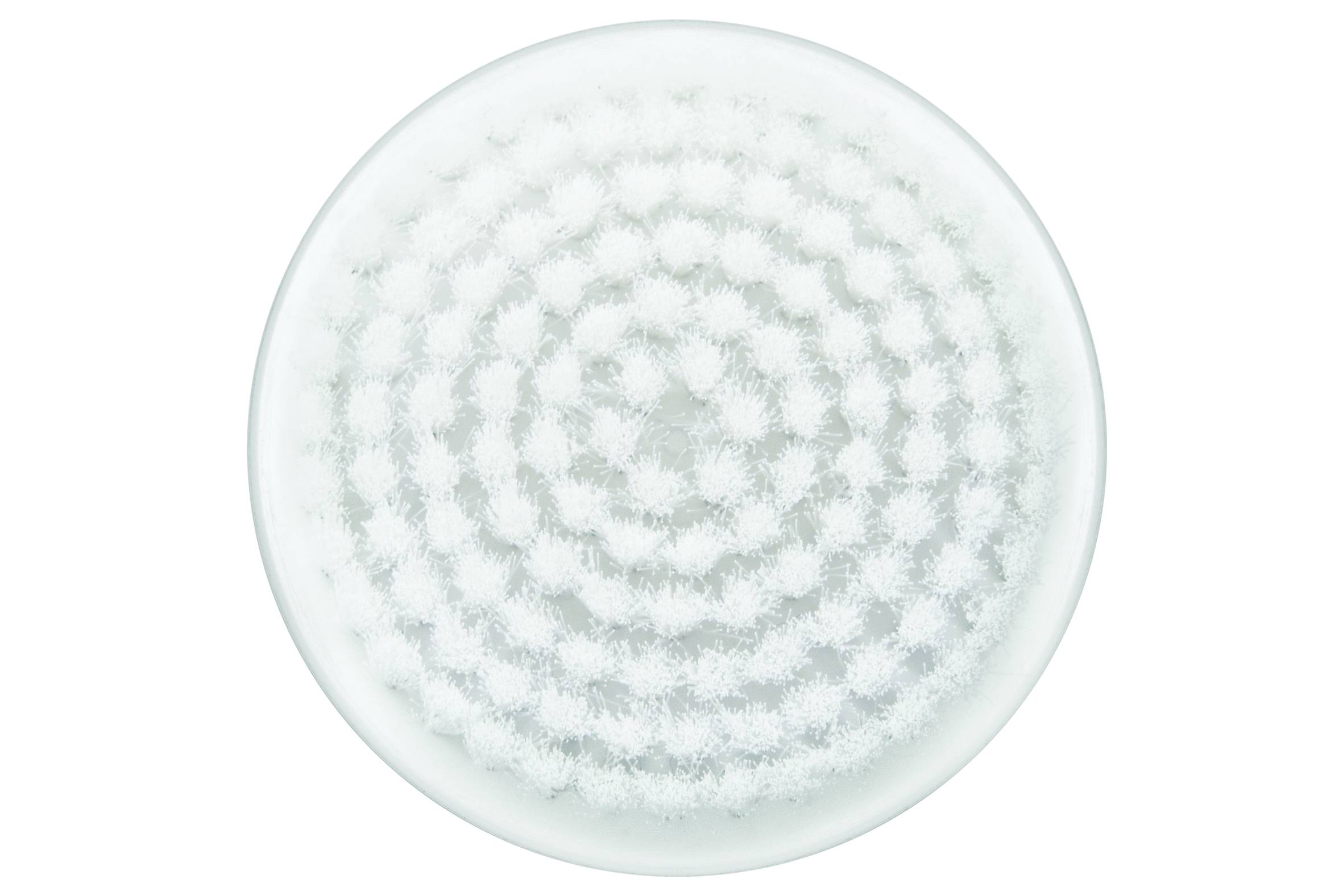 Exfoliërende borstelkop voor gelaat XD4110F0
