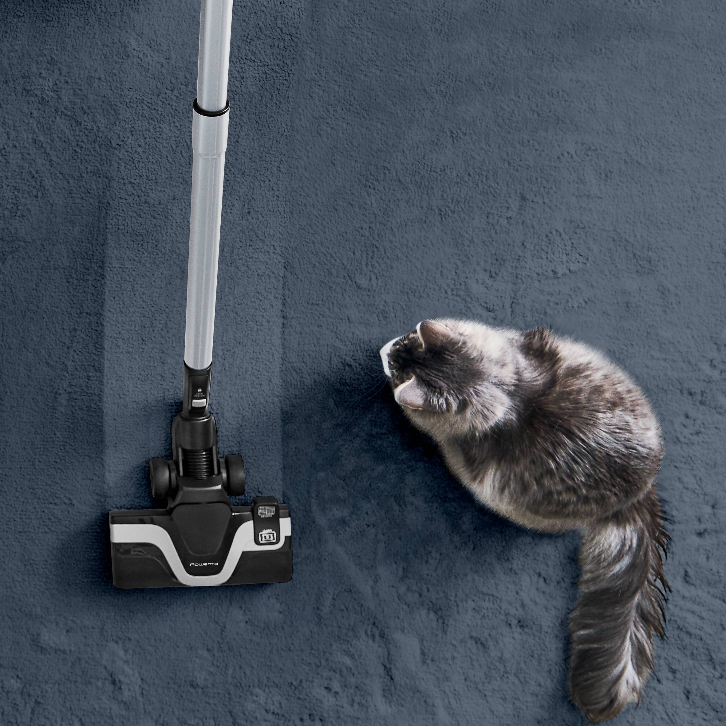 Brosse Silence Force ZR903A01