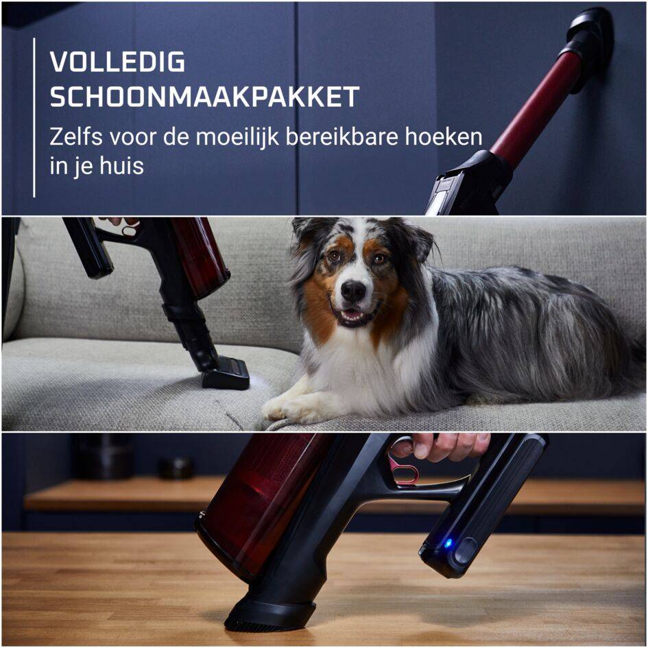 X-Force Flex 13.60 RH9A73WO, steelstofzuiger, perfect voor mensen met huisdieren, Diepgaande Reinigingskracht