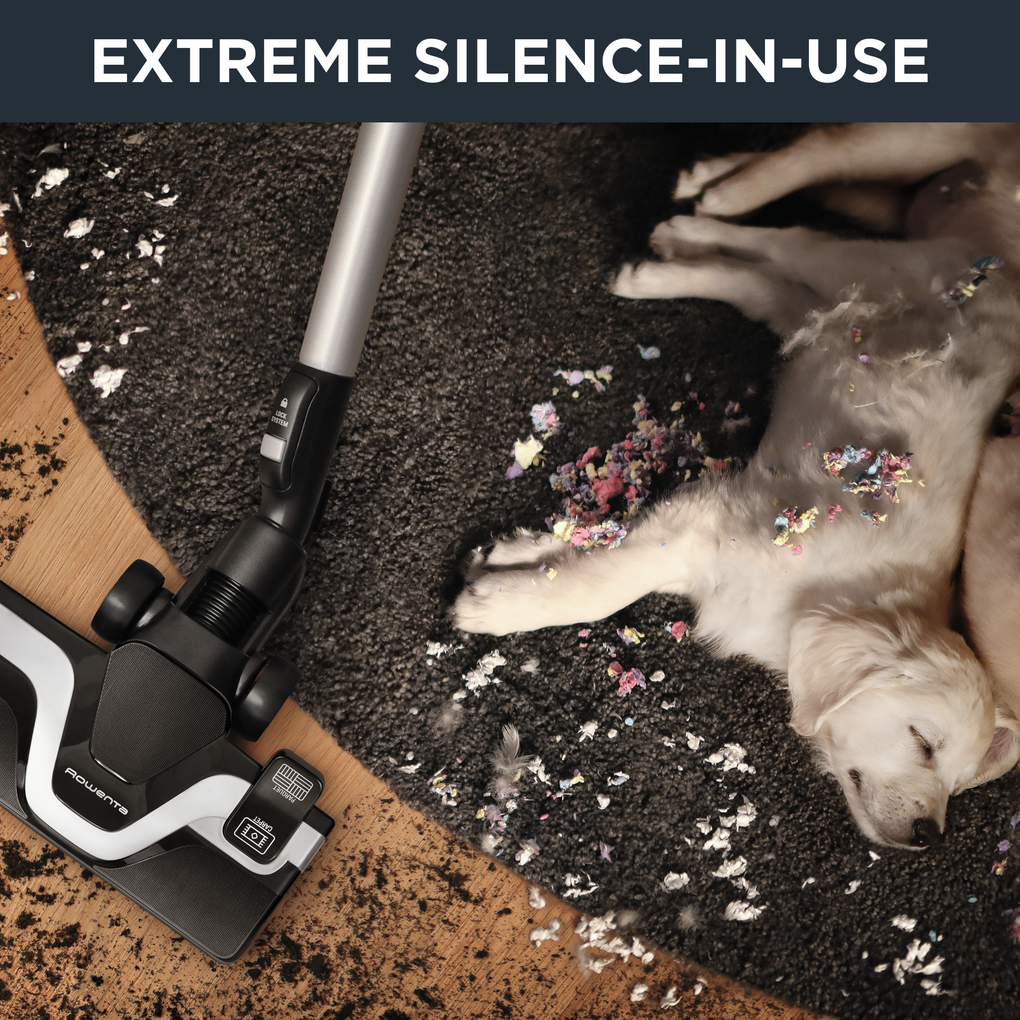 Silence Force Cyclonic RO7690 Aspirateur sans sac