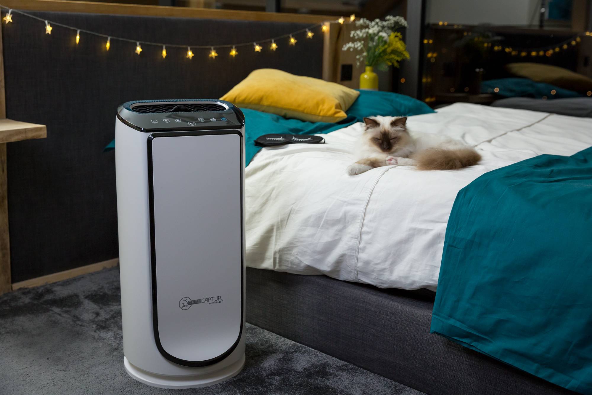 INTENSE PURE AIR XL CONNECT