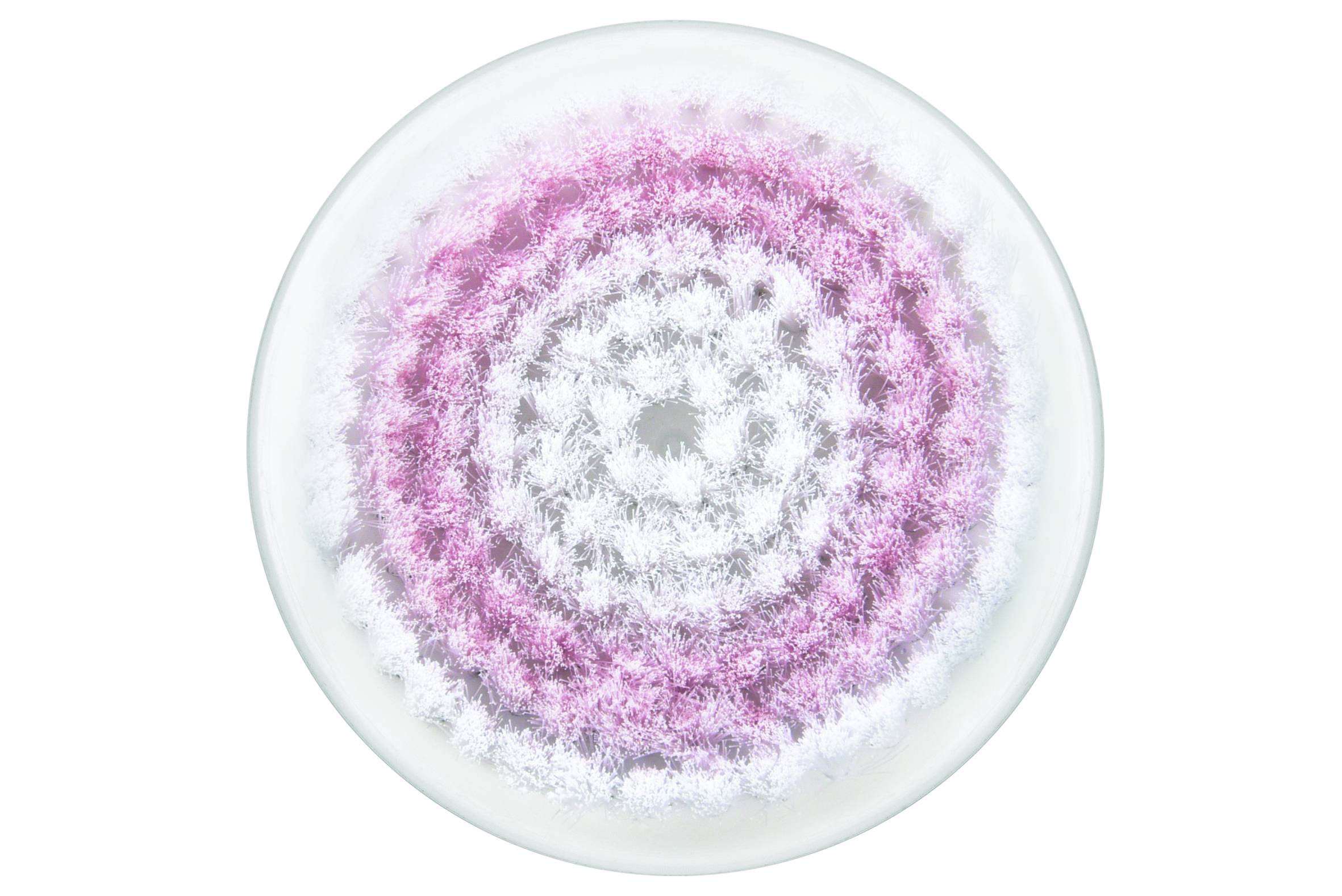 Embout brosse peaux sensibles XD4120F0