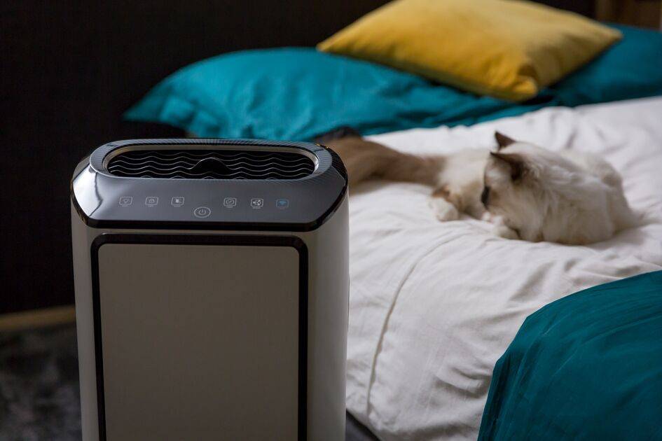 INTENSE PURE AIR CONNECT XL PU6080F0