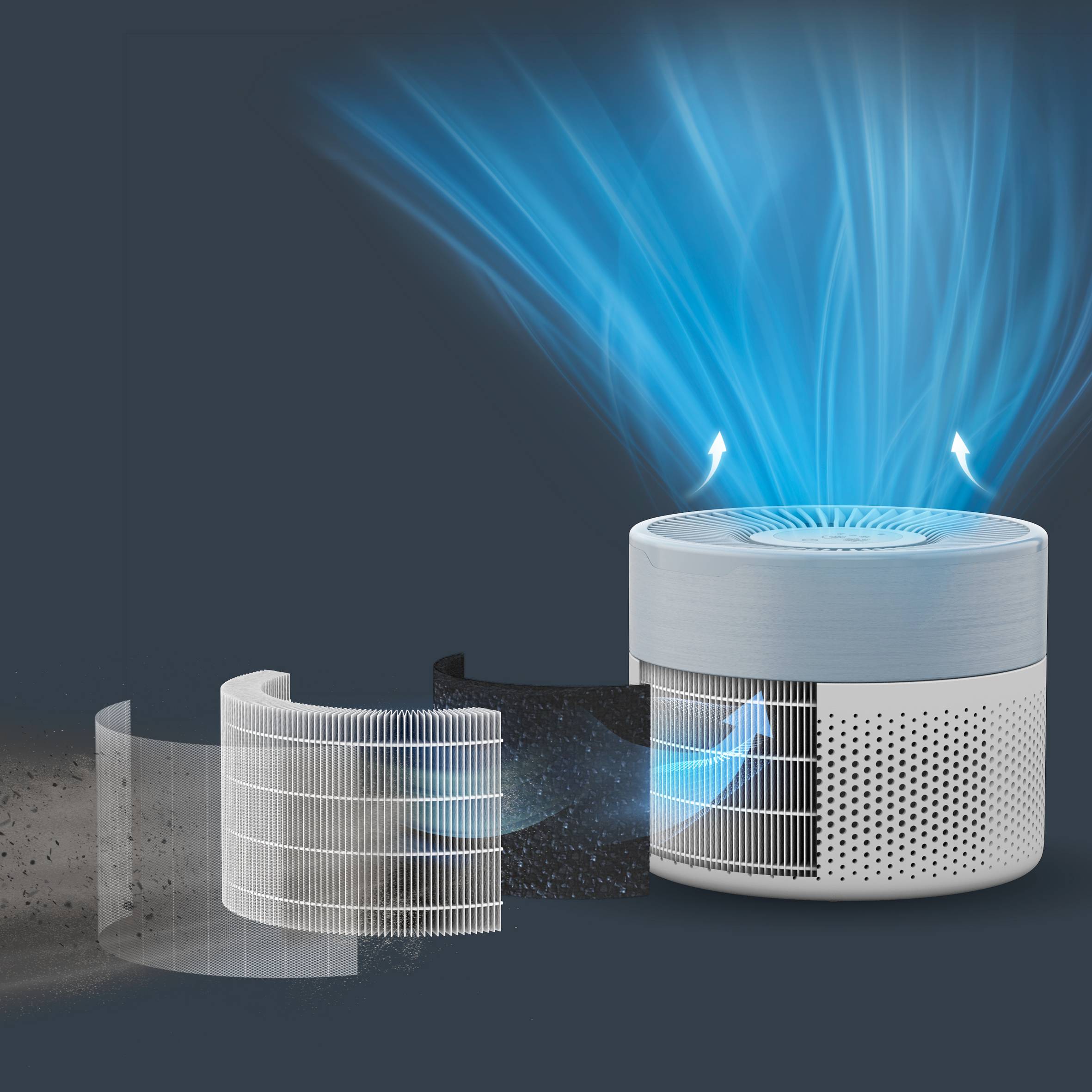 FILTRE 3 EN 1 : PRÉFILTRE, CHARBON ACTIF ET HEPA ALLERGY+ XD6260F0