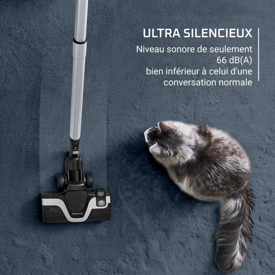 Green Force Effitech+ RO7C66 Aspirateur sans sac - 500W - Silencieux: 66dB - Brosse parquet + Mini turbobrosse