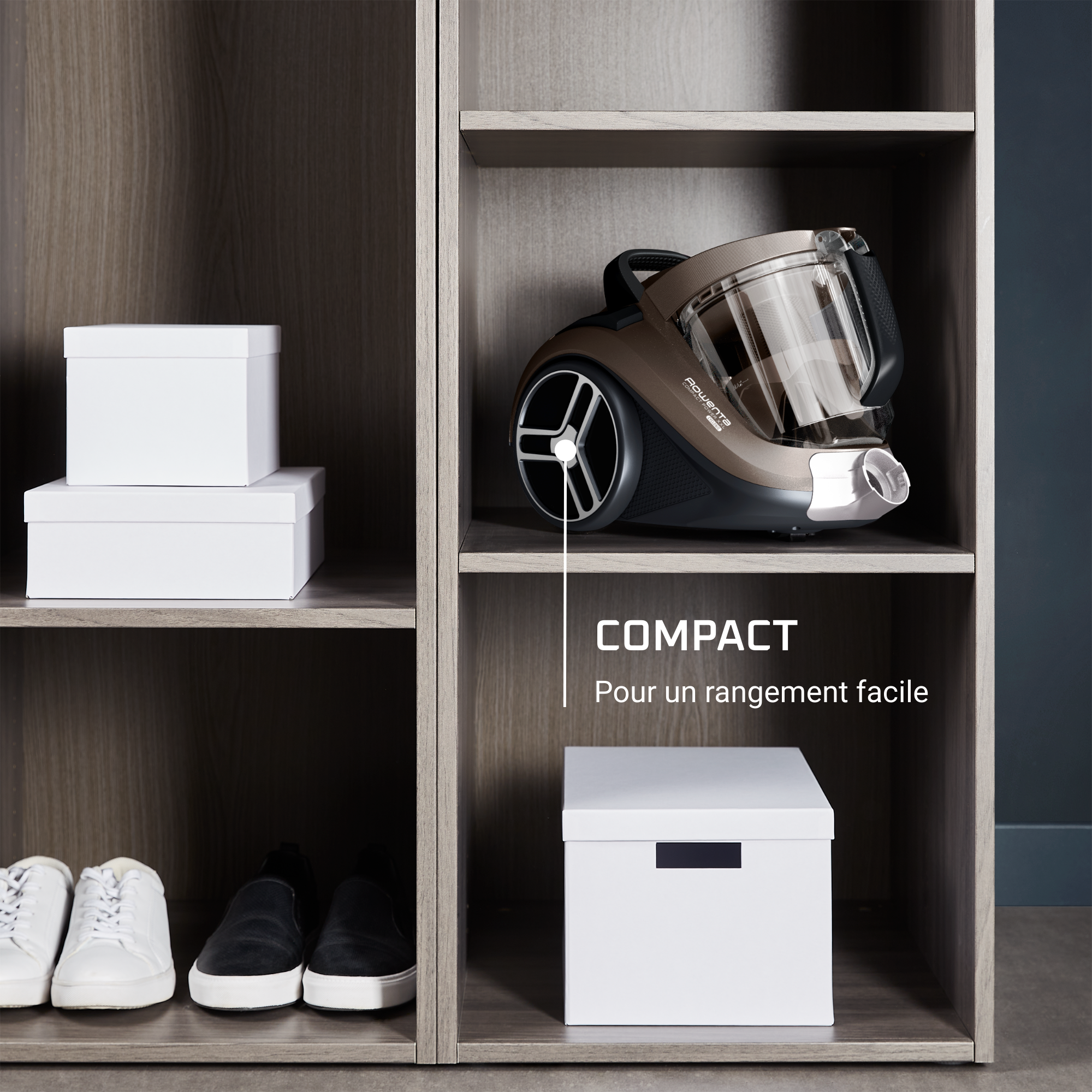 Compact Power XXL RO4B50 Aspirateur sans sac - 900W - 75dB - Brosse parquet + Mini turbobrosse