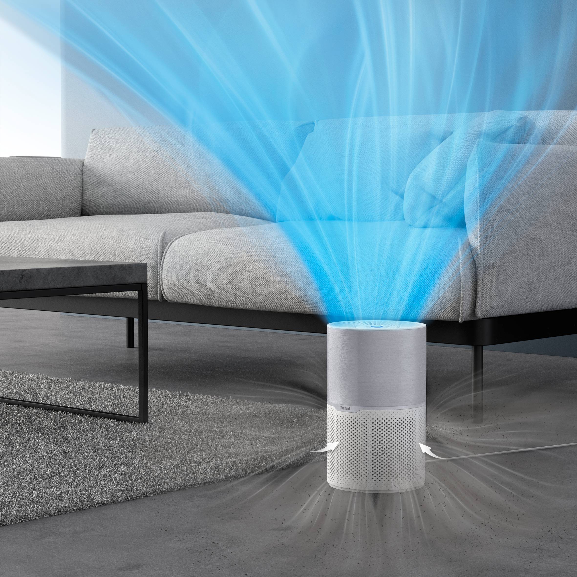 3-IN-1-FILTER: VOORFILTER, ACTIEVE KOOLSTOF EN HEPA ALLERGIE+ XD6270F0