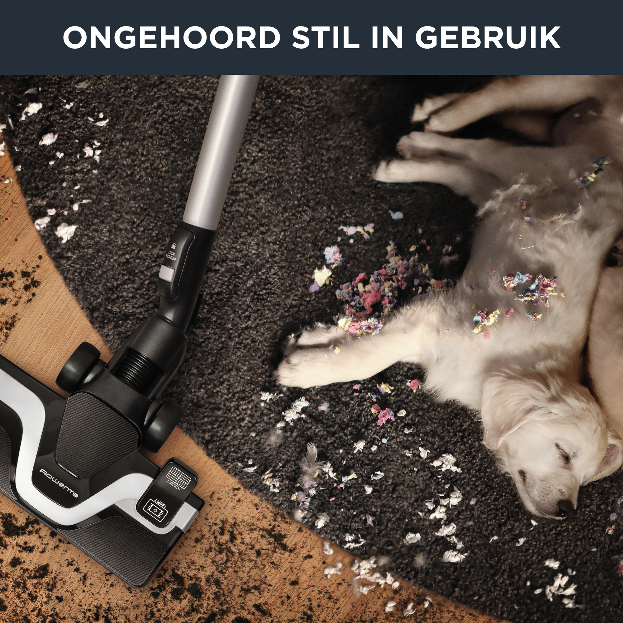 Silence Force Cyclonic RO7690 Stofzuiger zonder zak